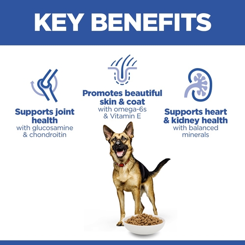 Hill's Science Plan - Large Breed - Mature Adult 6+ - Chicken