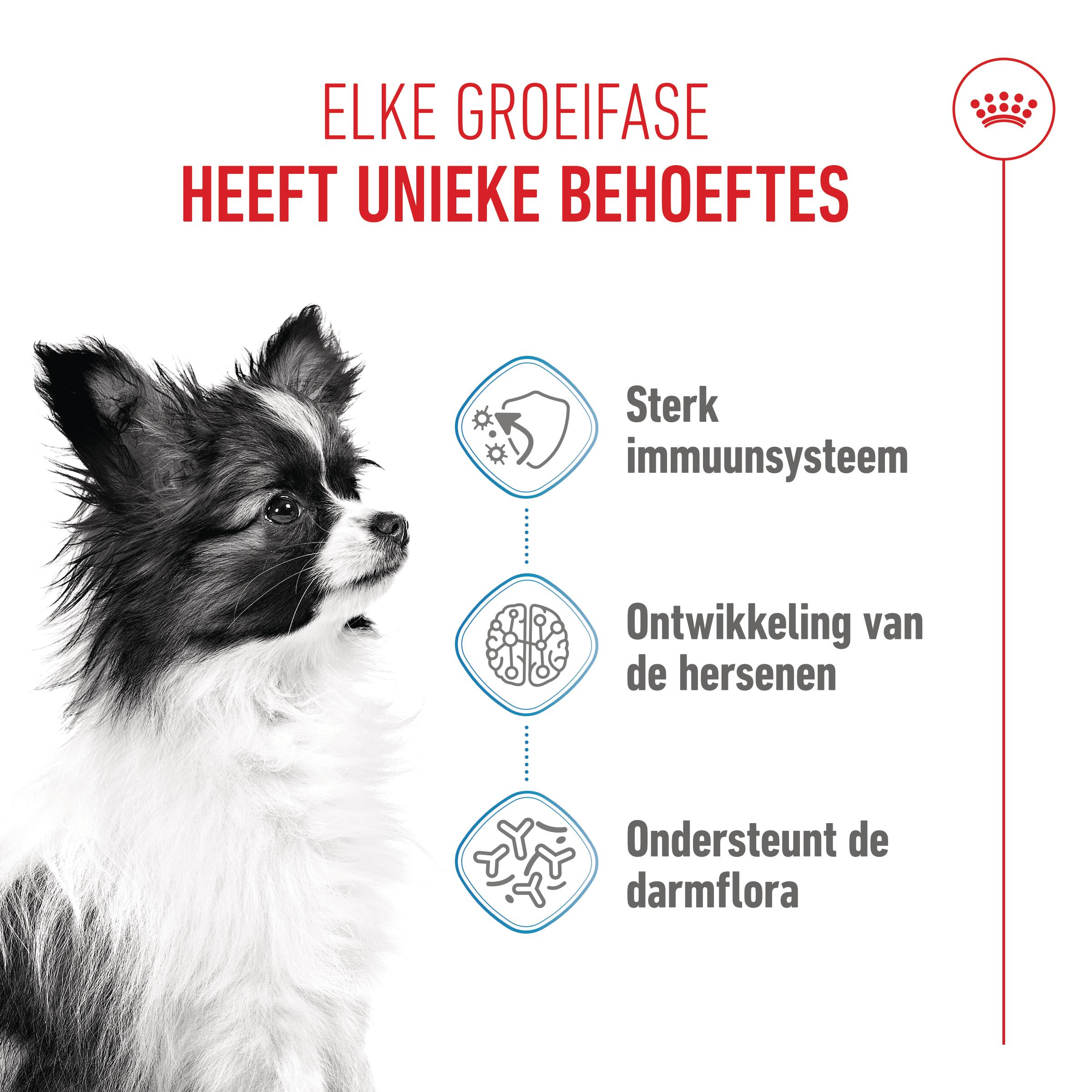 Royal Canin X-Small Puppy - Hondenvoer