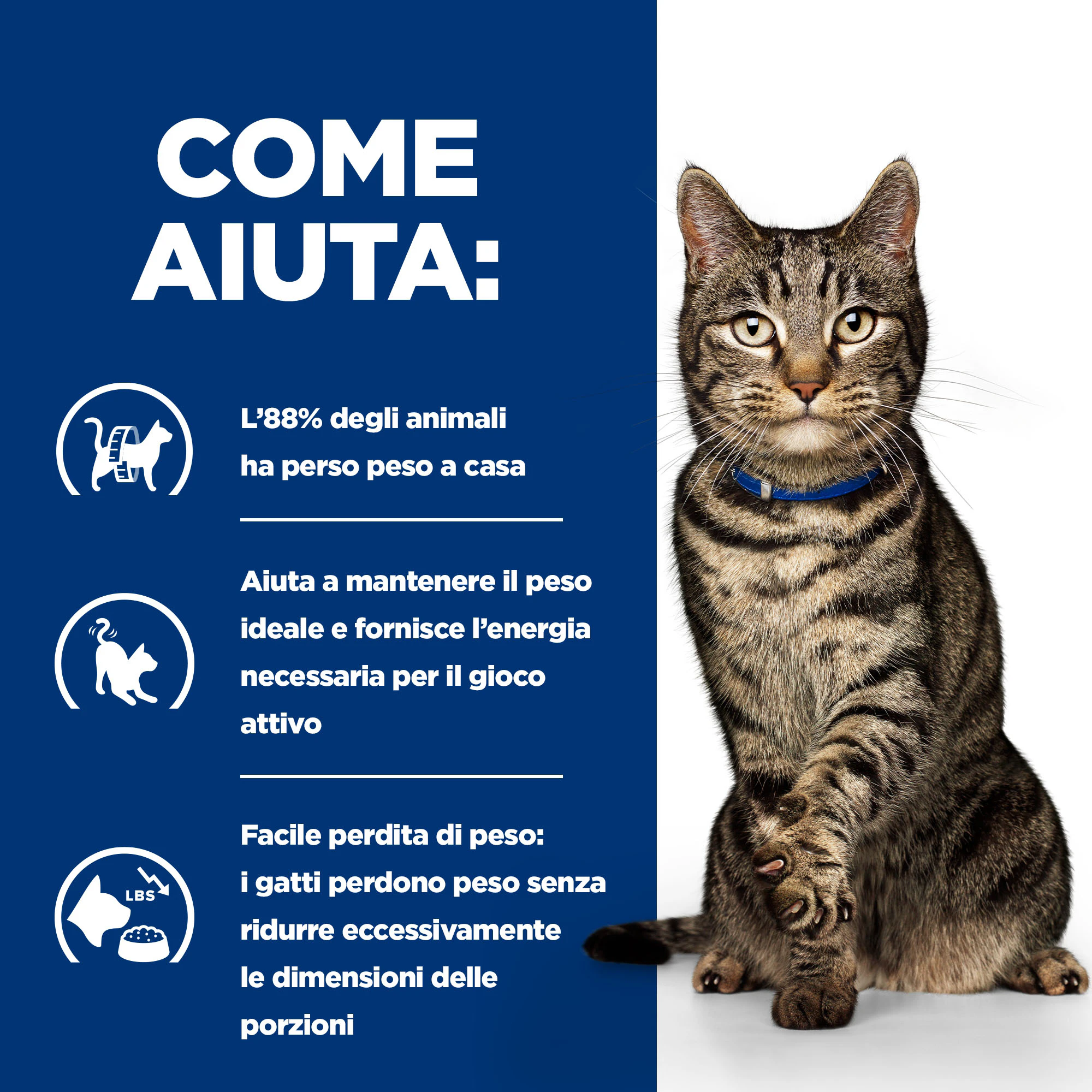 Hill's Metabolic Weight Management - Prescription Diet - Feline - Buste Cibo Umido
