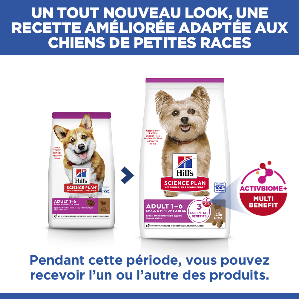 Hill's Science Plan Small & Mini - Adult - Agneau et Riz