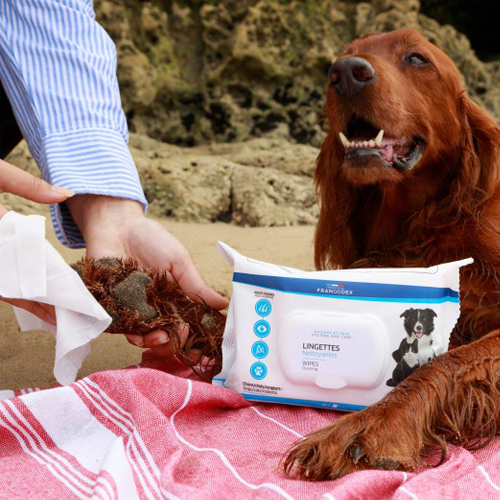 Francodex Multi Rengøringsservietter