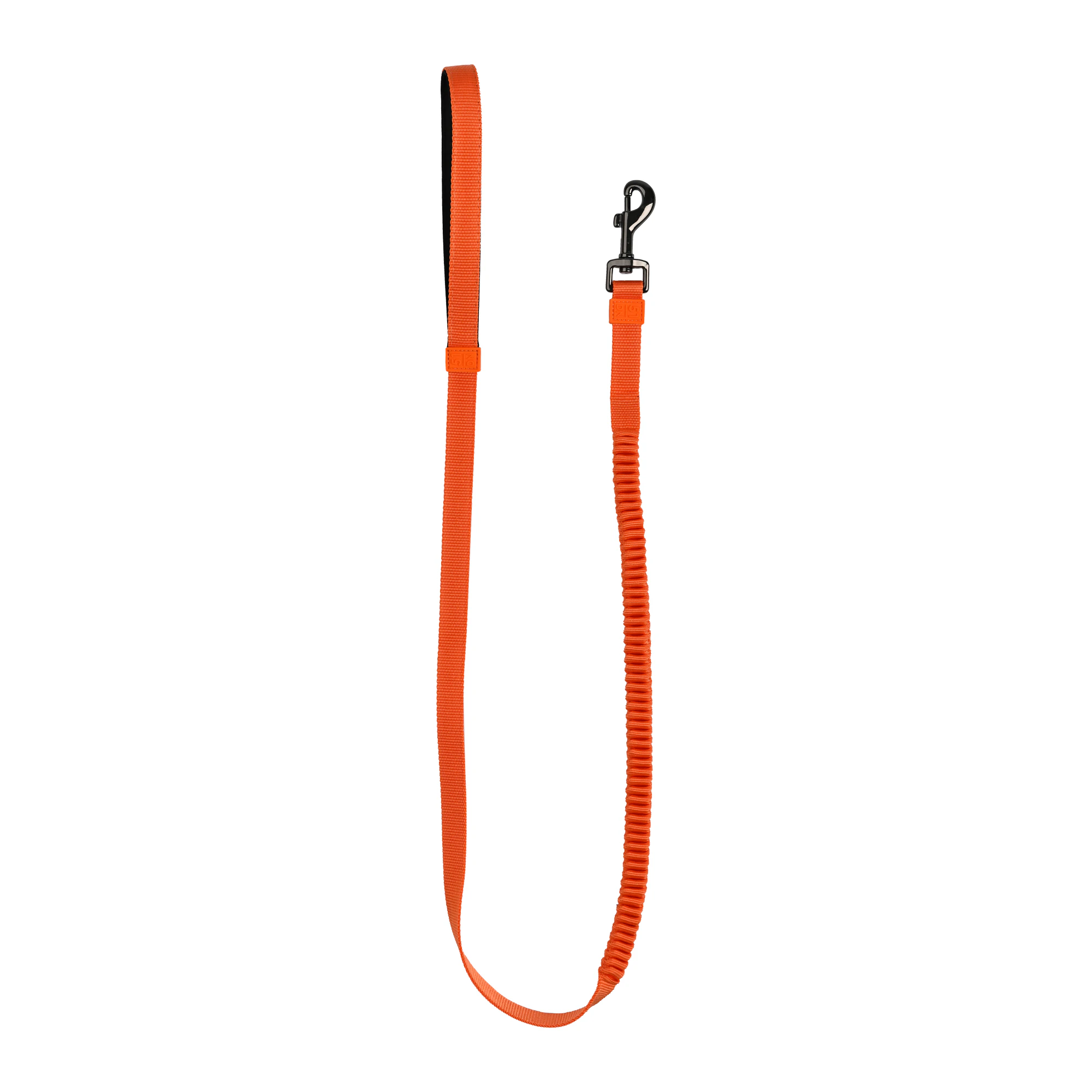 51 Degrees North Wanderful Leash Bungee