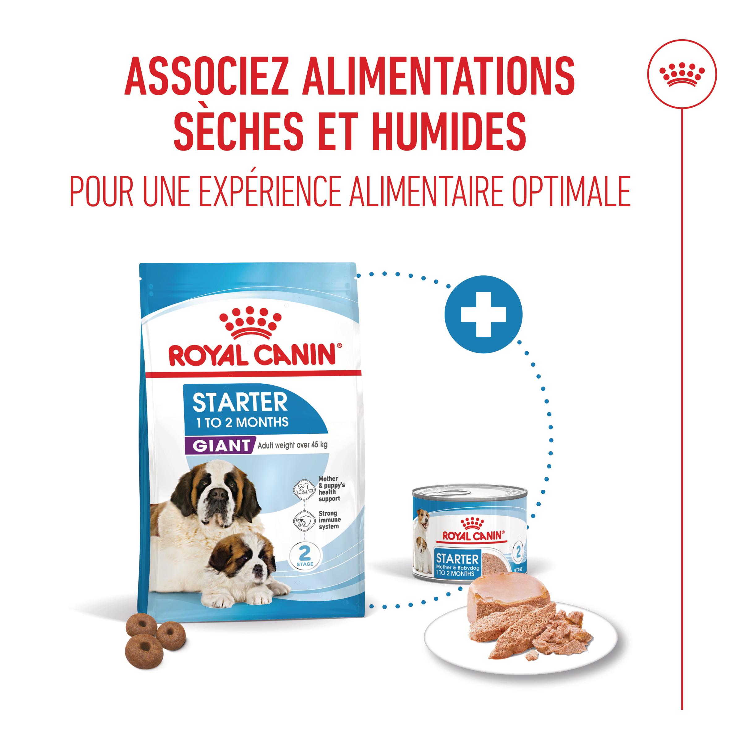 Royal Canin Giant Starter Mother & Babydog