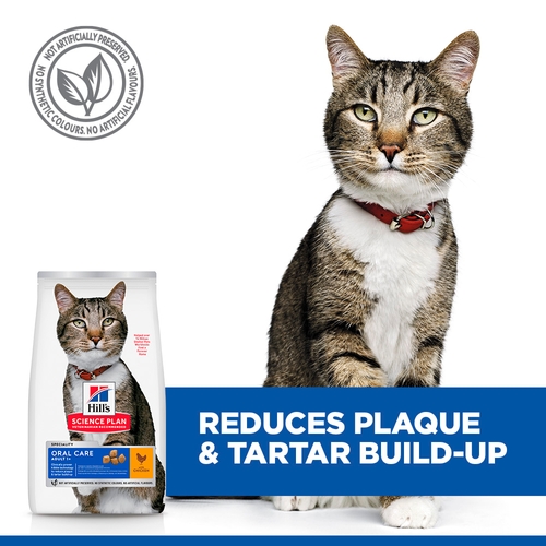 Hill's Science Plan - Feline Adult - Oral Care
