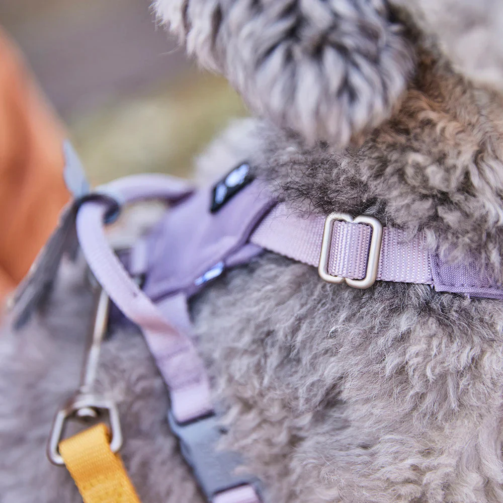Hurtta Harness Seeker