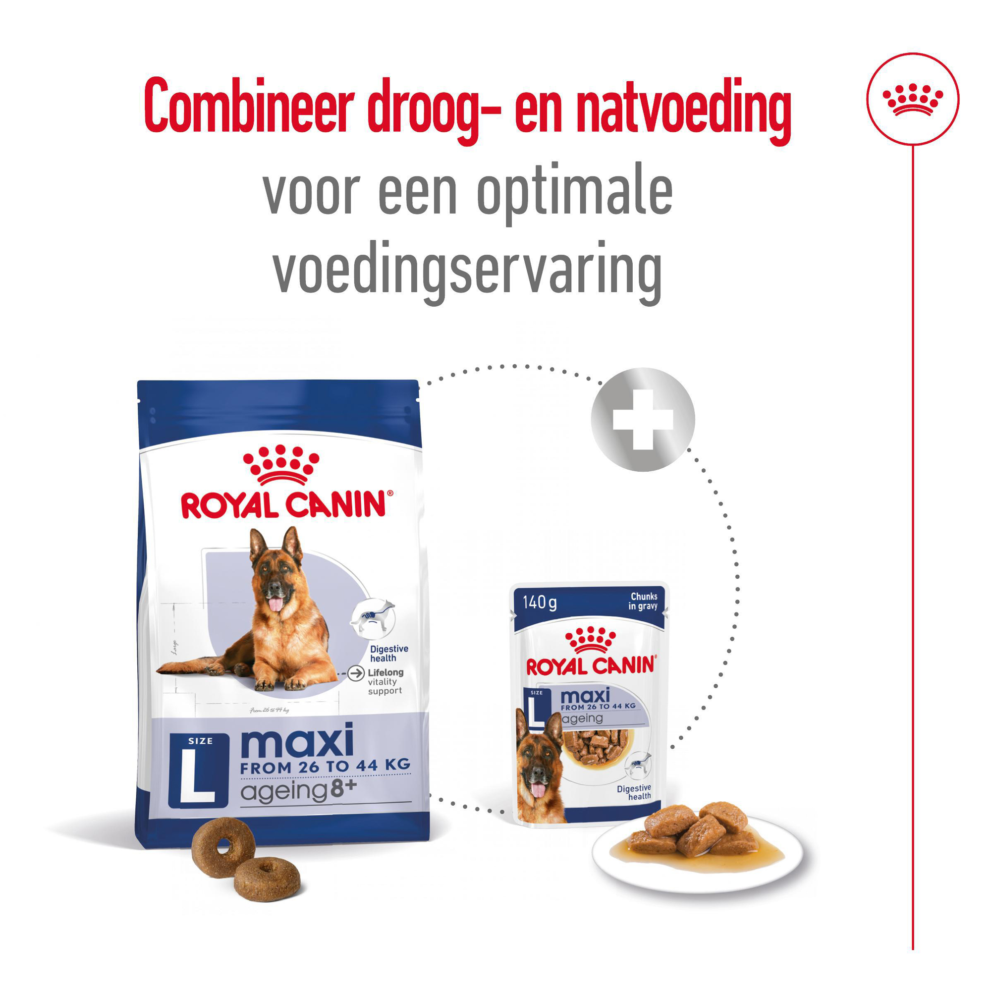 Royal Canin Maxi Ageing Hunde-Nassfutter – 12 X 410 G, Für Große Senior-Hunde (26–44 Kg) Ab 5 Jahren