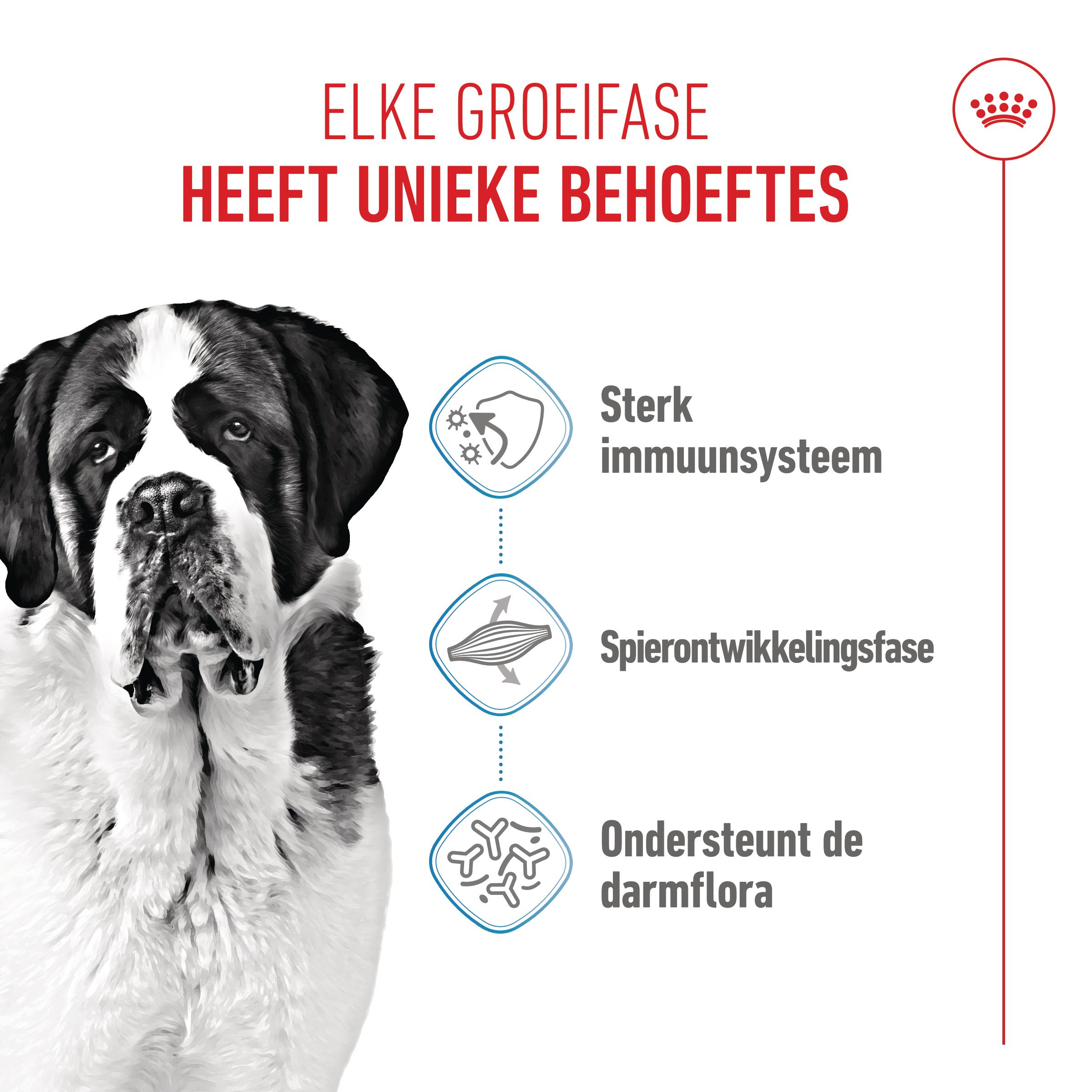 Royal Canin Giant Junior - Hondenvoer
