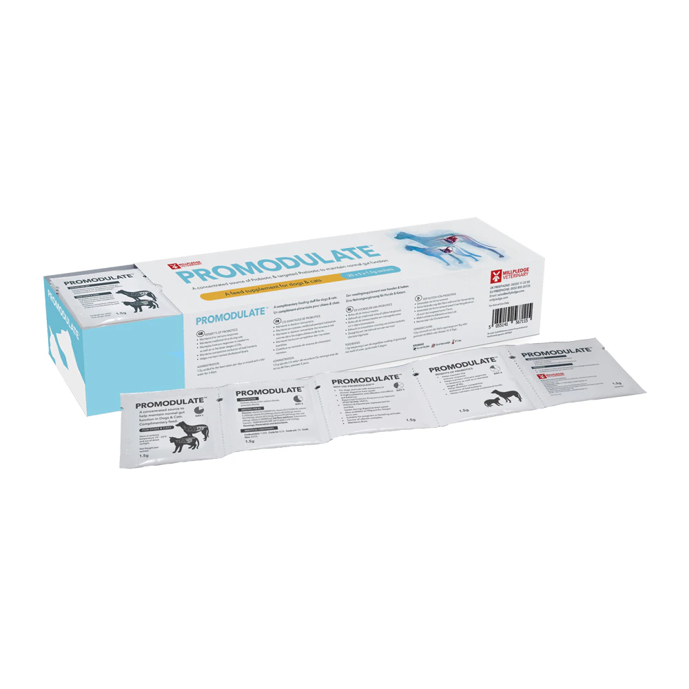 Promodulate 100 x 1,5 gr (sachets)
