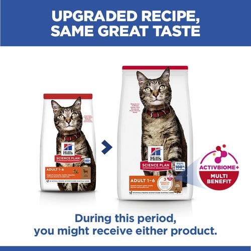Hill's Science Plan - Feline Adult Optimal Care - Lamb