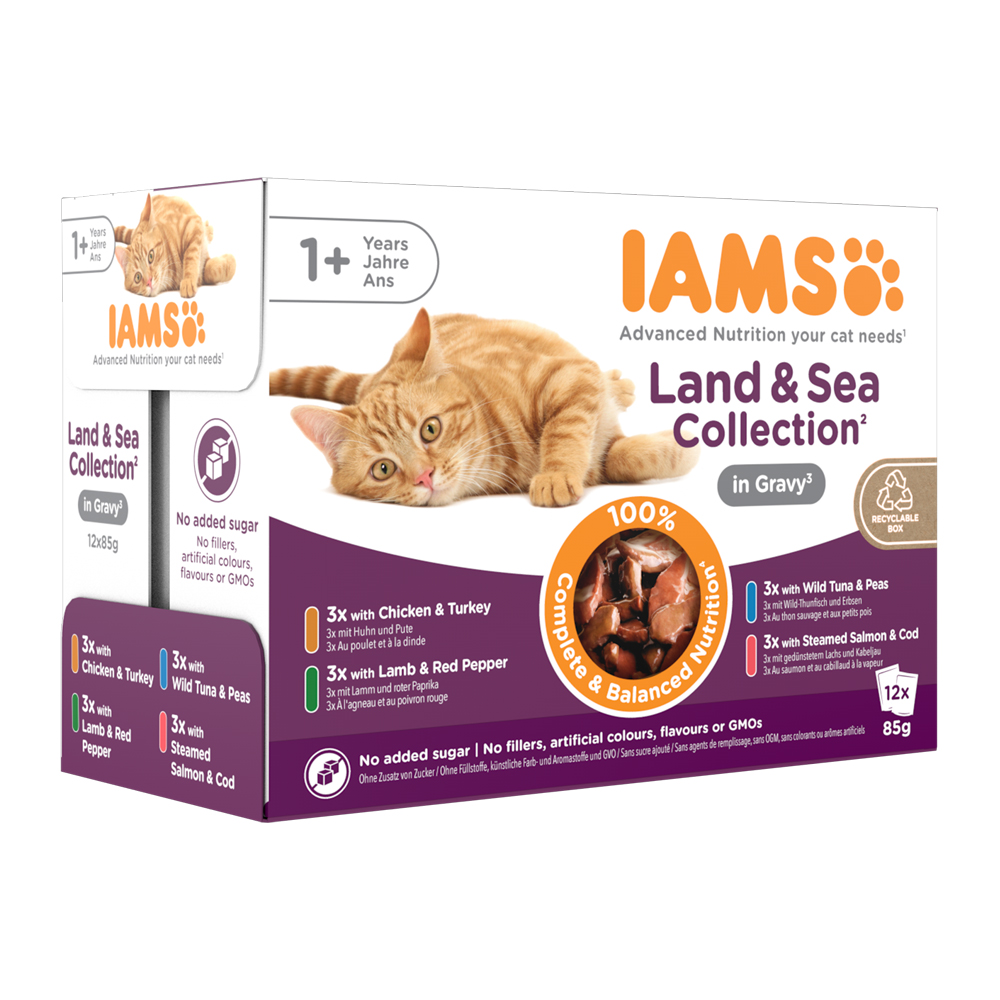 IAMS Delights Adult Cat Wet Food Cats Order