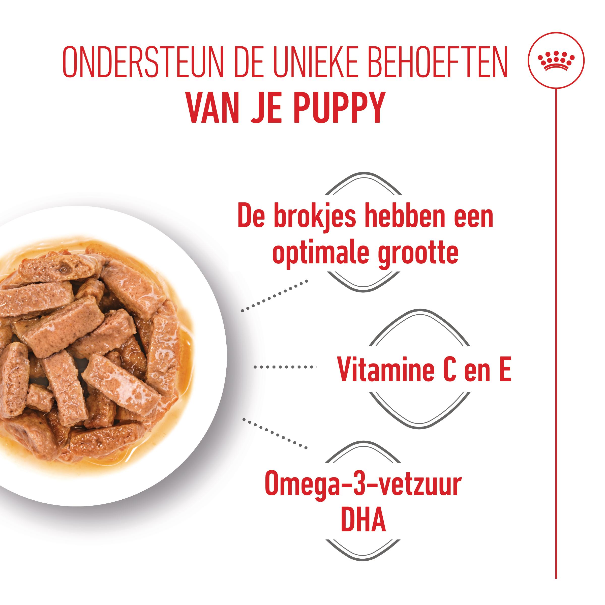Royal Canin Maxi Puppy Wet - Hondenvoer