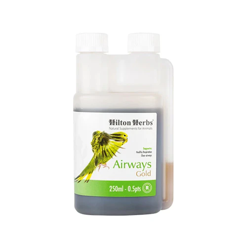 Hilton Herbs Airways Gold for Birds - 250ml