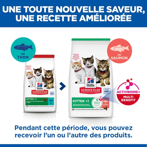 Hill's Science Plan - Chaton - Saumon