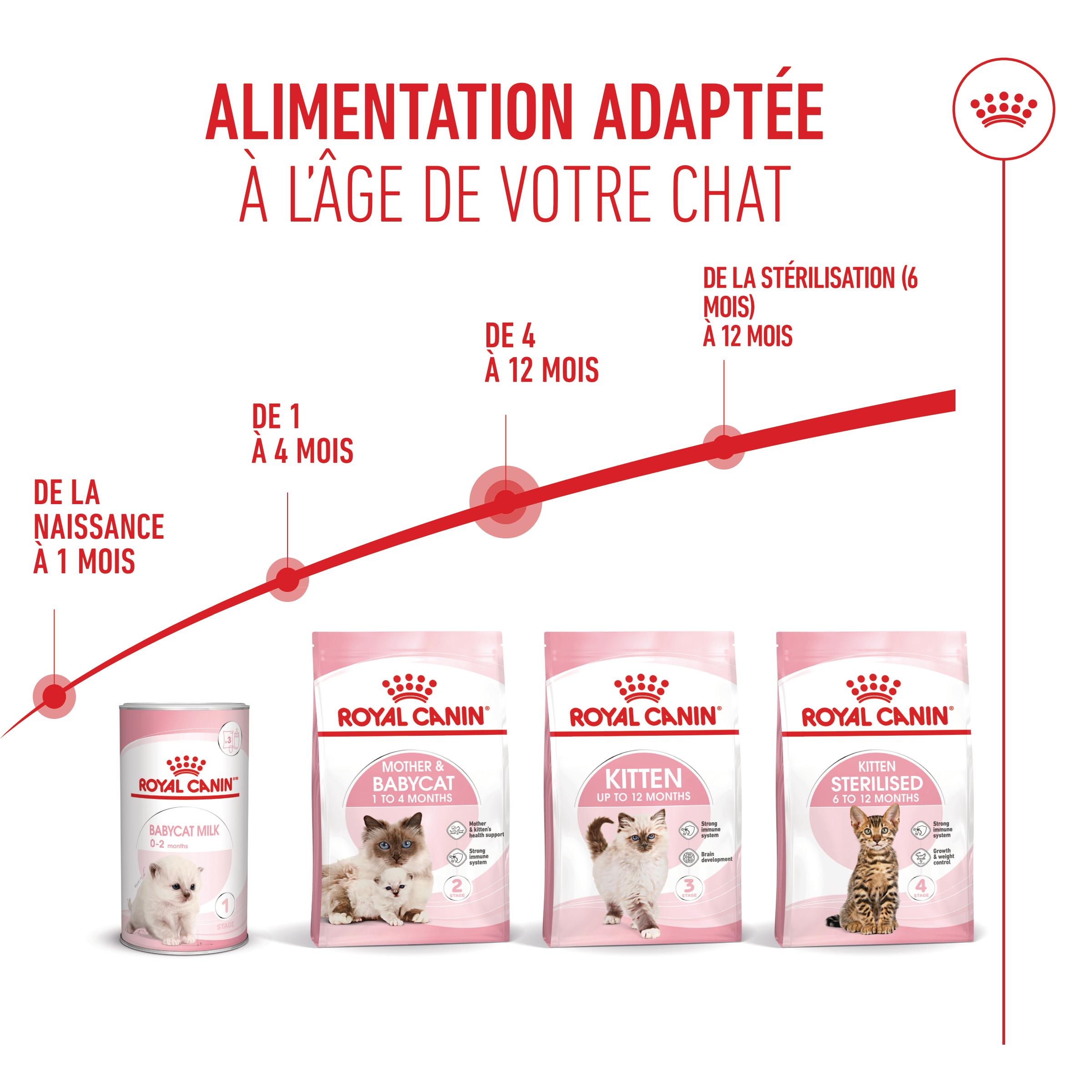 Royal Canin Kitten