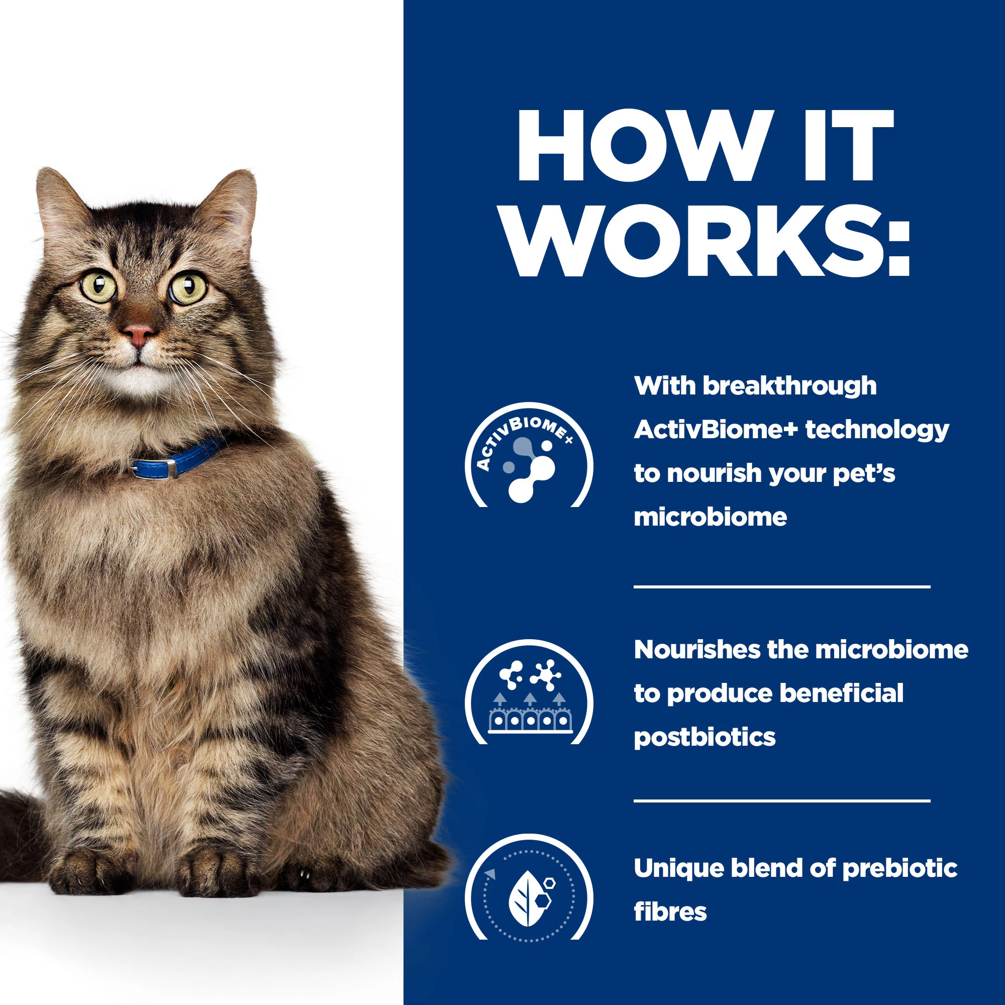 Hill's Prescription Diet - Gastrointestinal Biome - Feline - Wet Food
