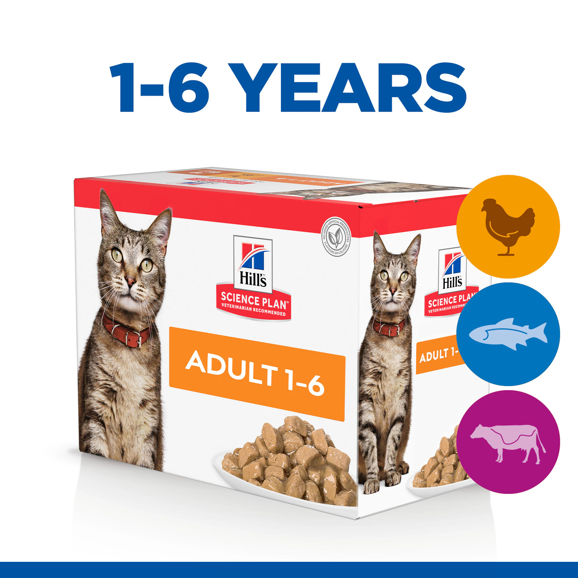 Hill's Science Plan Feline Adult Favourite Selection