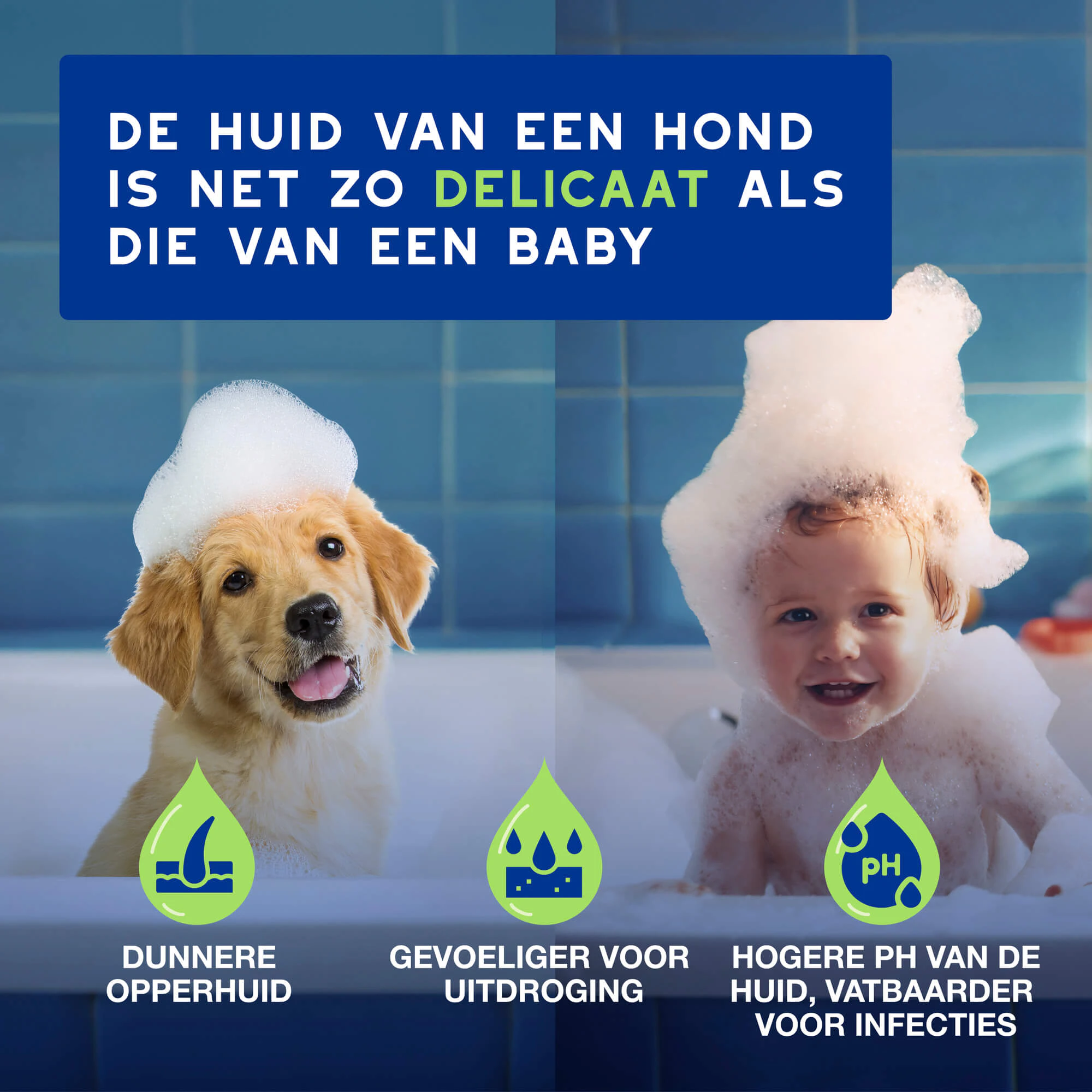 Douxo  Spa Shampoo Puppy