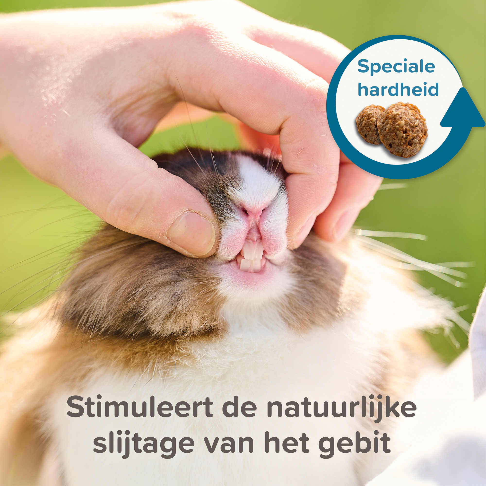 Beaphar Care+ Konijn