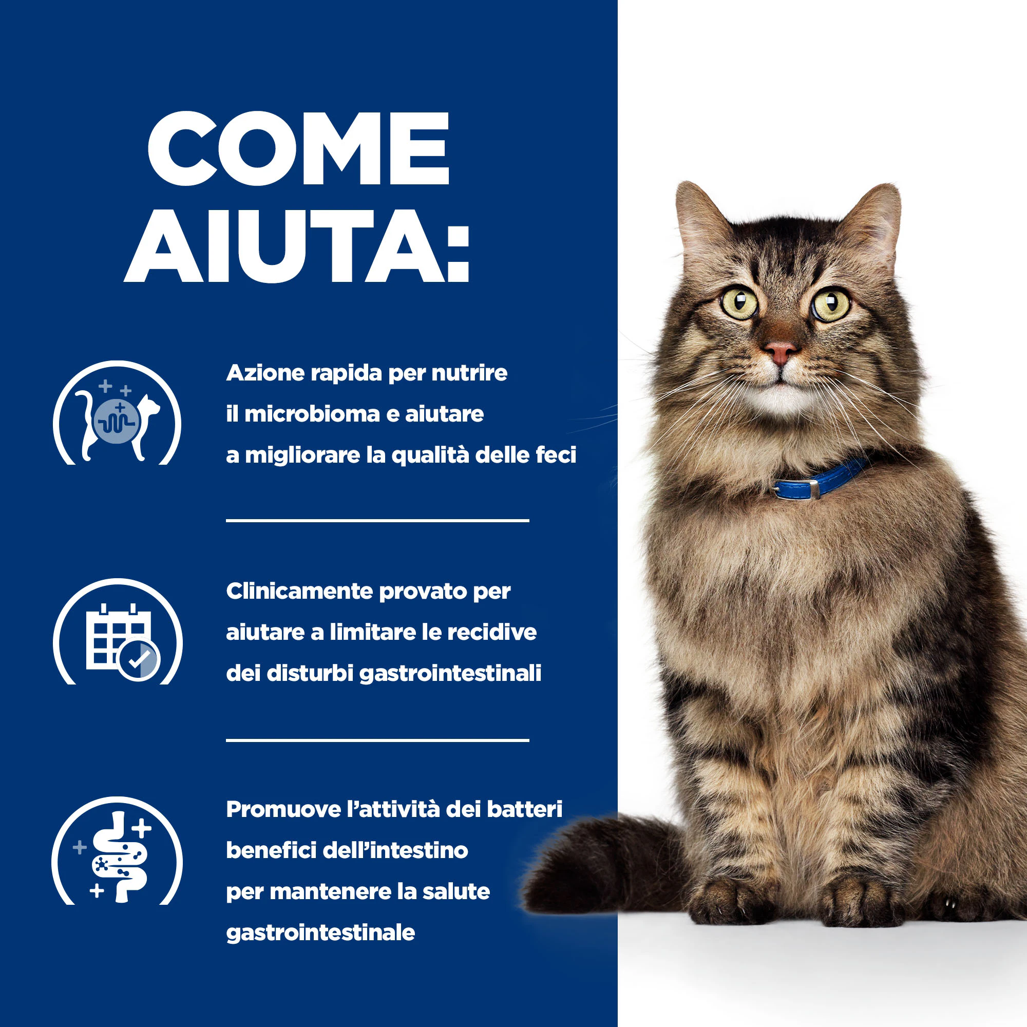 Hill's Prescription Diet - Gastrointestinal Biome - Feline - Cibo Umido