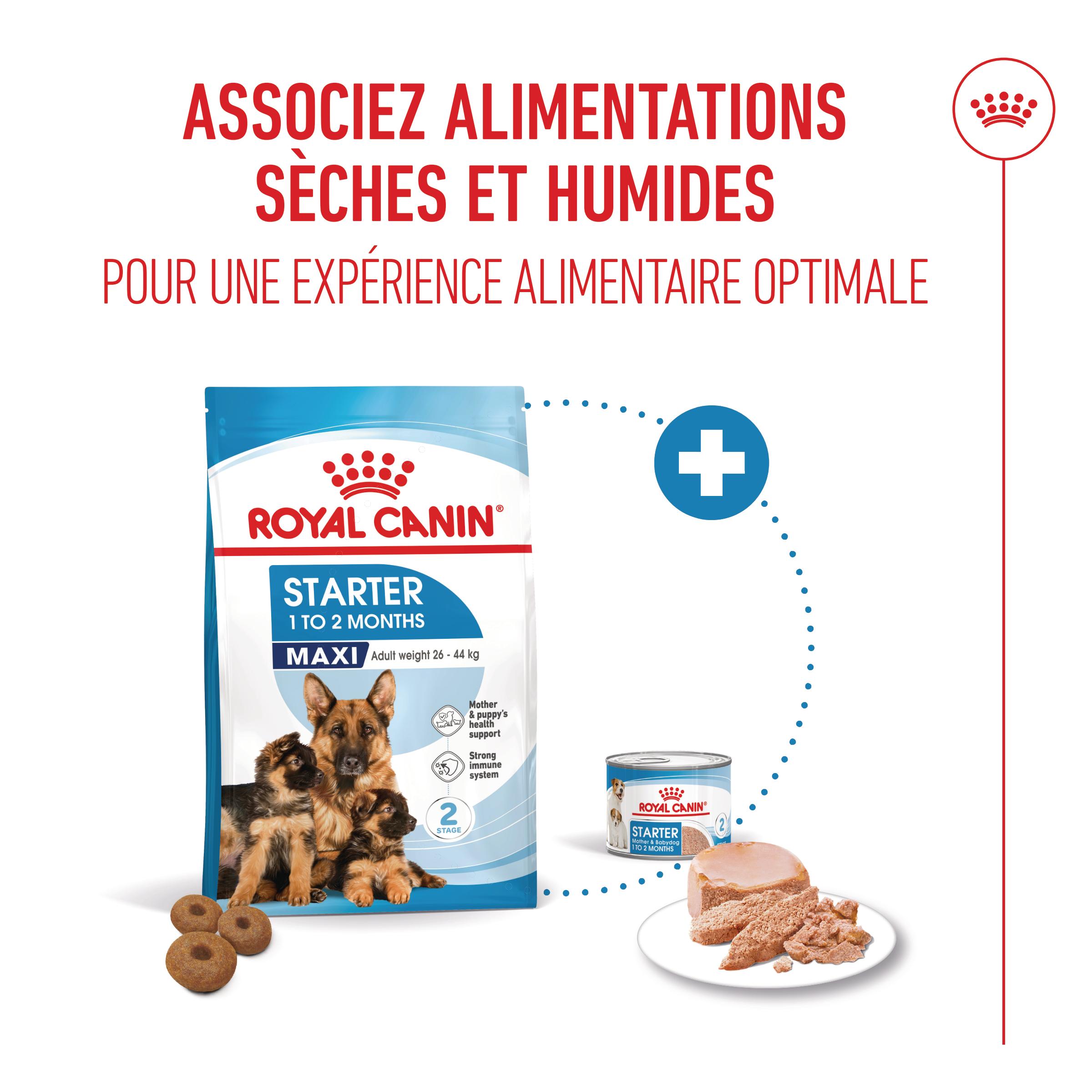 Royal Canin Maxi Starter Mother & Babydog