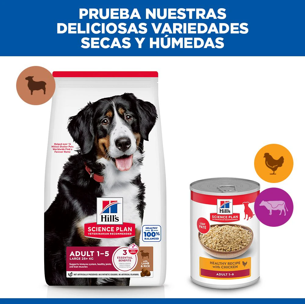 Hill's Science Plan Large Breed - Adult - Cordero y Arroz