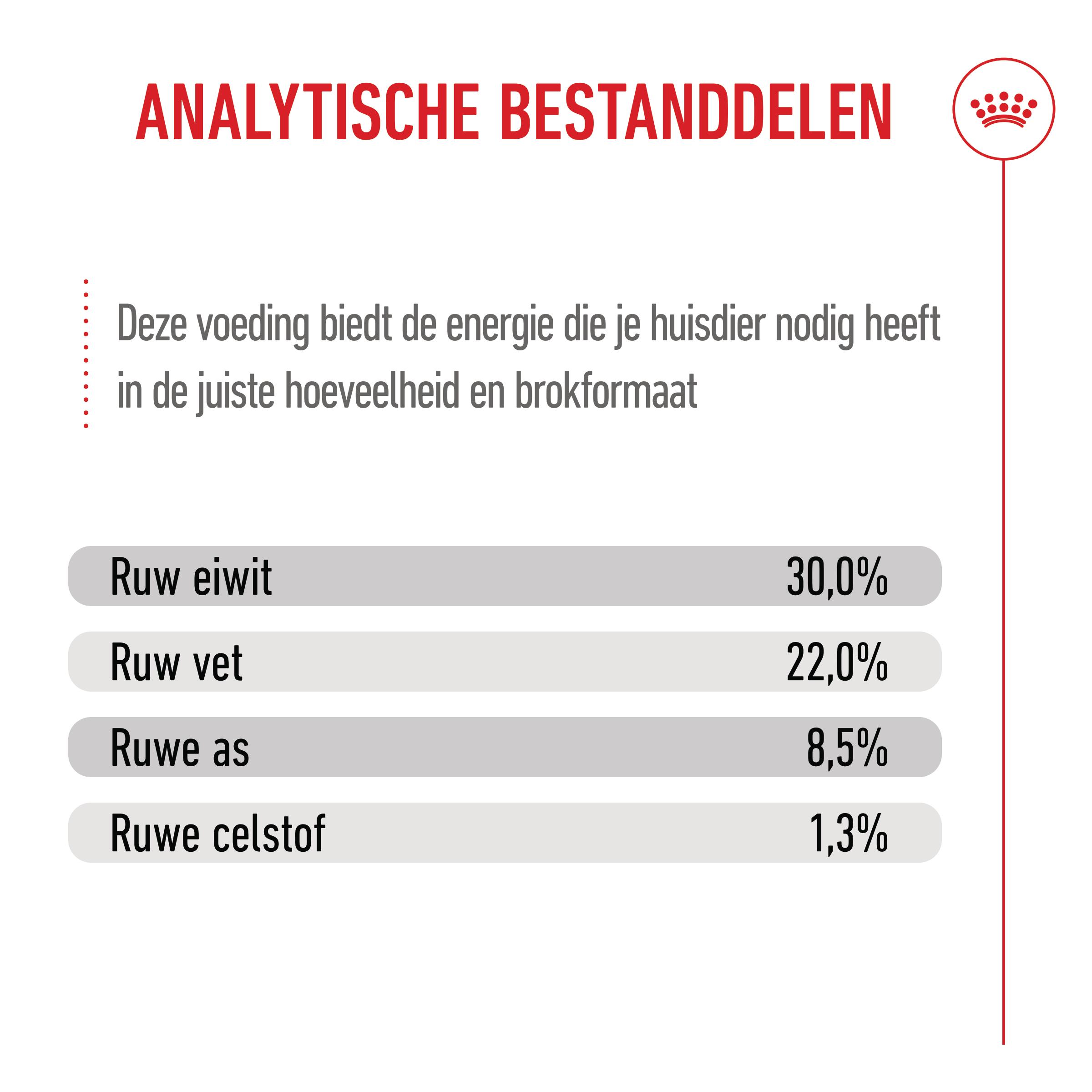 Royal Canin Mini Starter Mother & Babydog - Hondenvoer