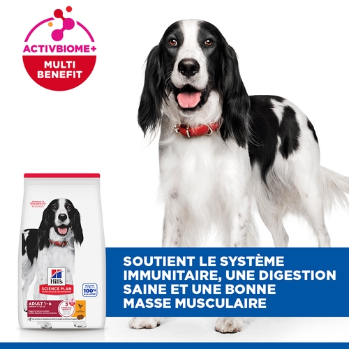 Hill's Science Plan - Medium - Adult - Poulet