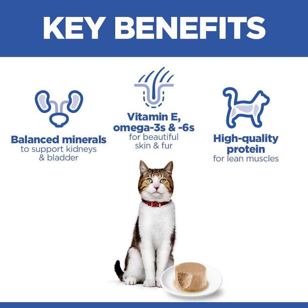 Hill's Science Plan Feline Mature Adult Premium Mousse - Chicken
