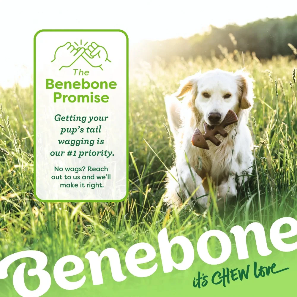 Benebone Fishbone