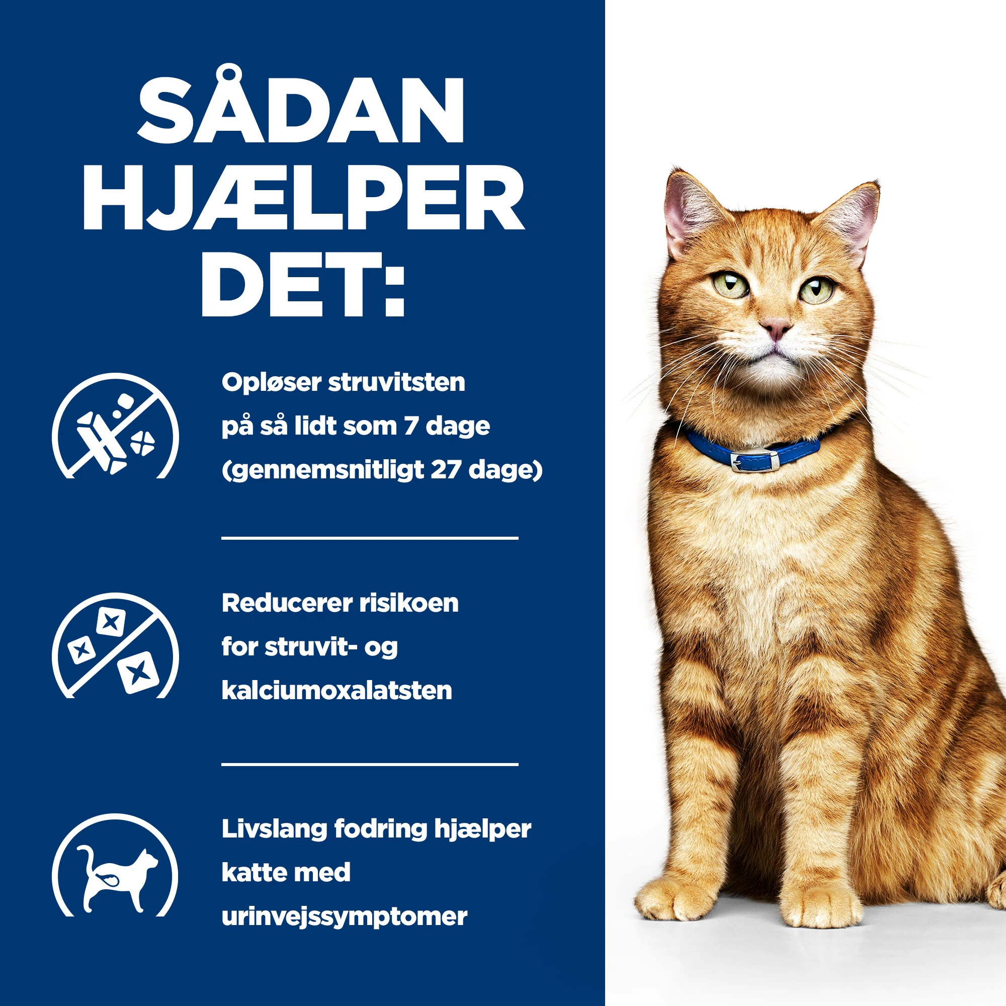 Hill's c/d Multicare - Prescription Diet - Kat - Mousse