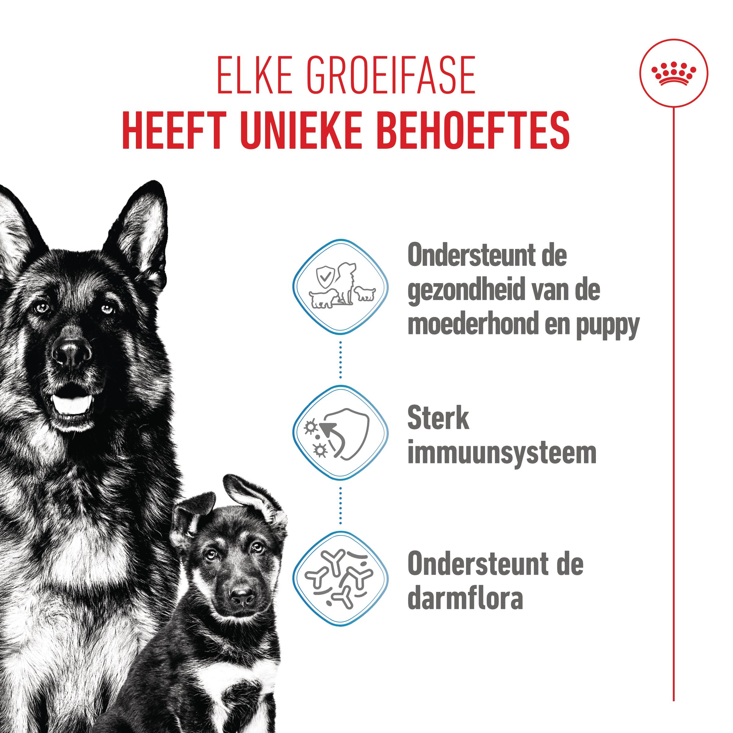 Royal Canin Maxi Starter Mother & Babydog - Hondenvoer