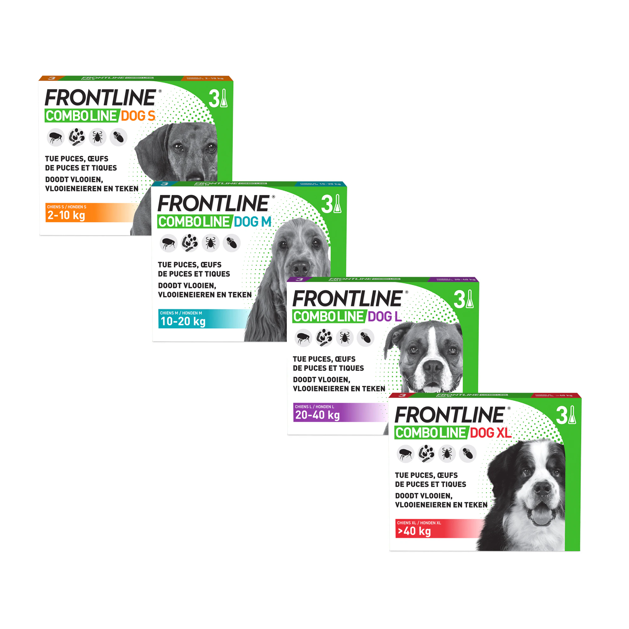 Frontline Combo Line Hond