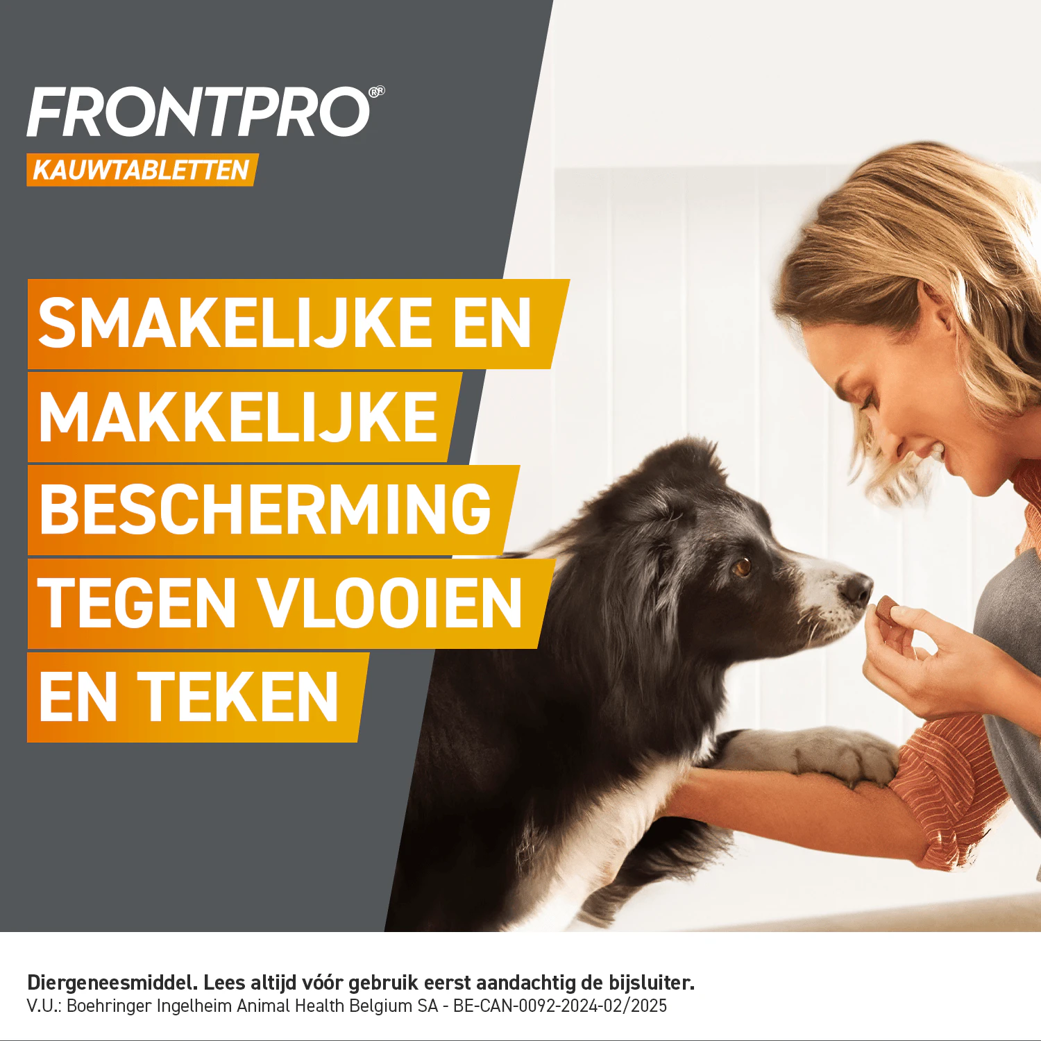 FRONTPRO Kauwtabletten Hond