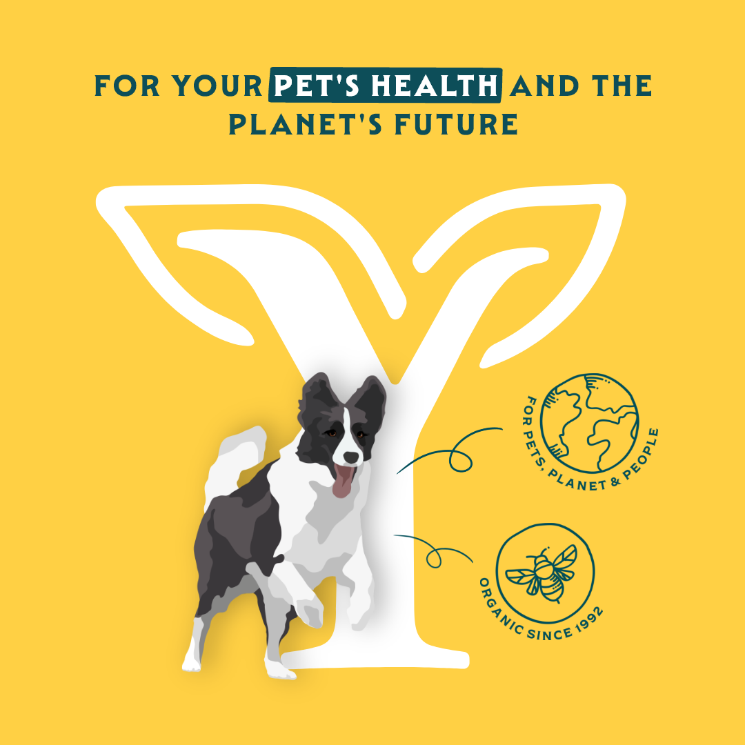 Yarrah - Droogvoer Hond Vega Bio