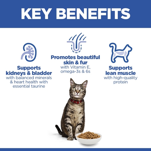 Hill's Science Plan - Feline Adult - Salmon