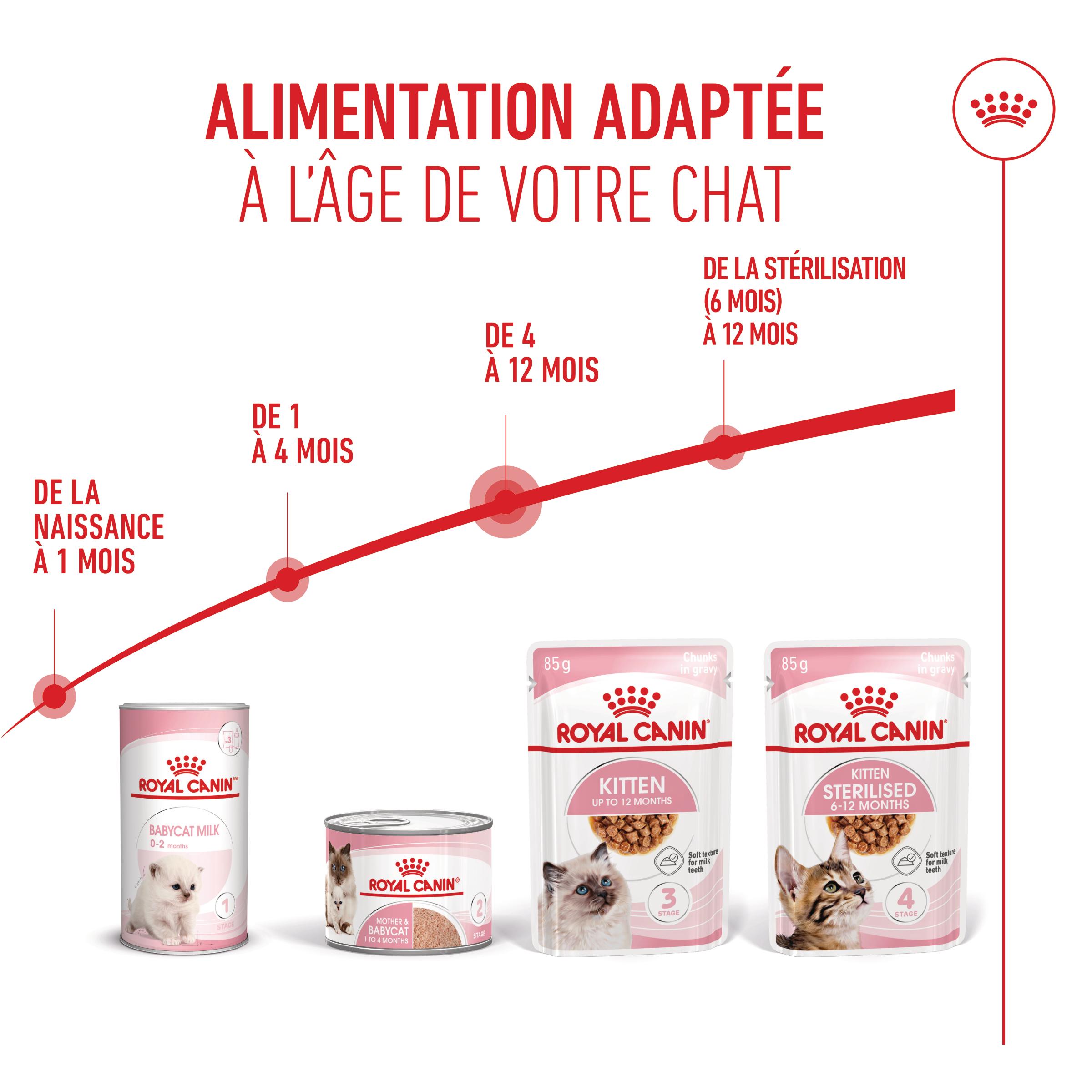 Royal Canin Gravy - Chaton - Sachet