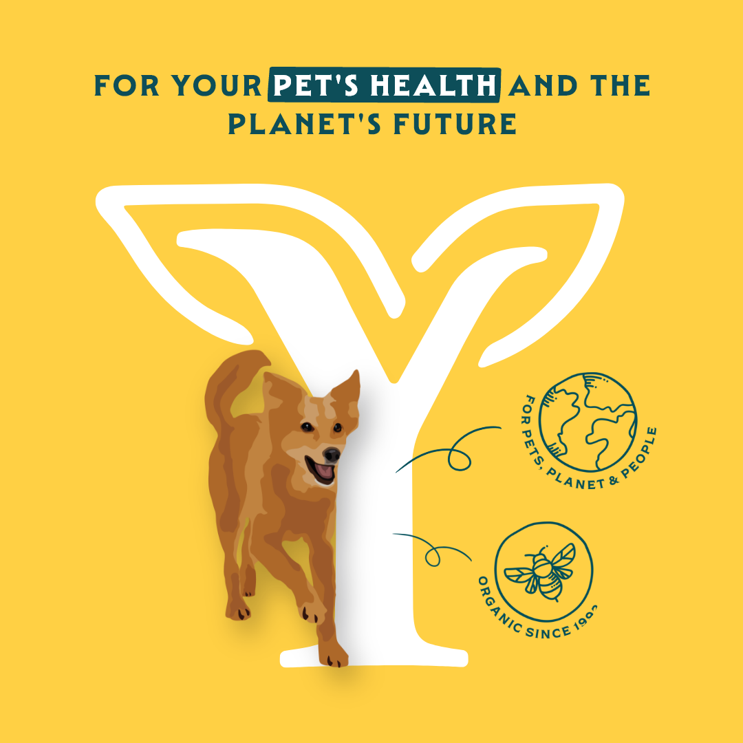 Yarrah - Paté Hond Blik met Kip Bio