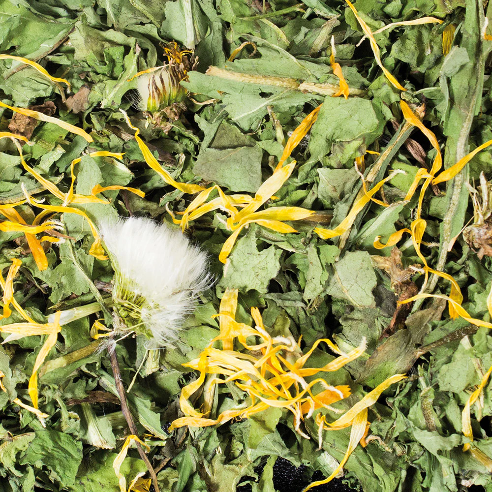 JR Farm Raw Rodent Snack - Dandelions