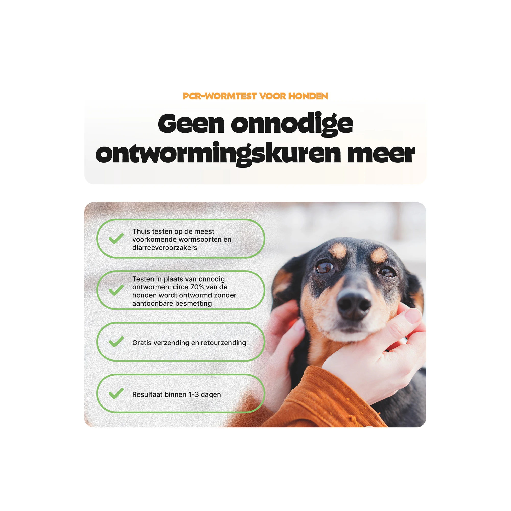 Pezz PCR Wormtest Hond