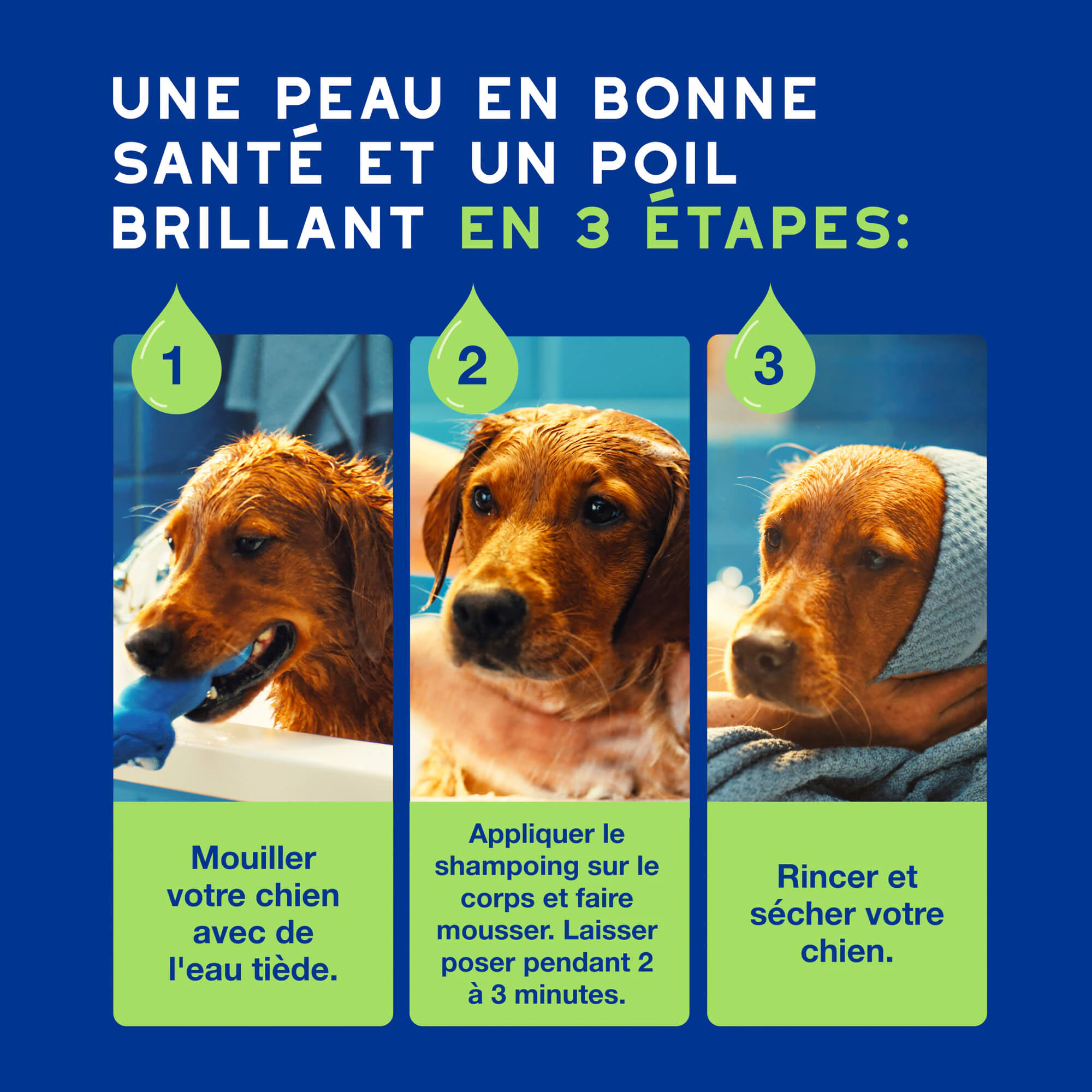 Douxo Shampoo Spa pour Chiot