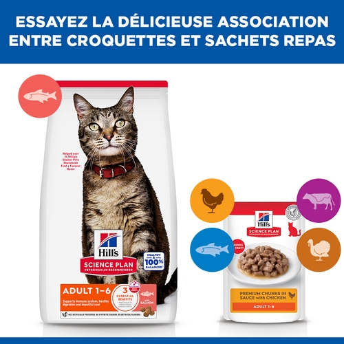 Hill's Science Plan - Feline Adult - Saumon