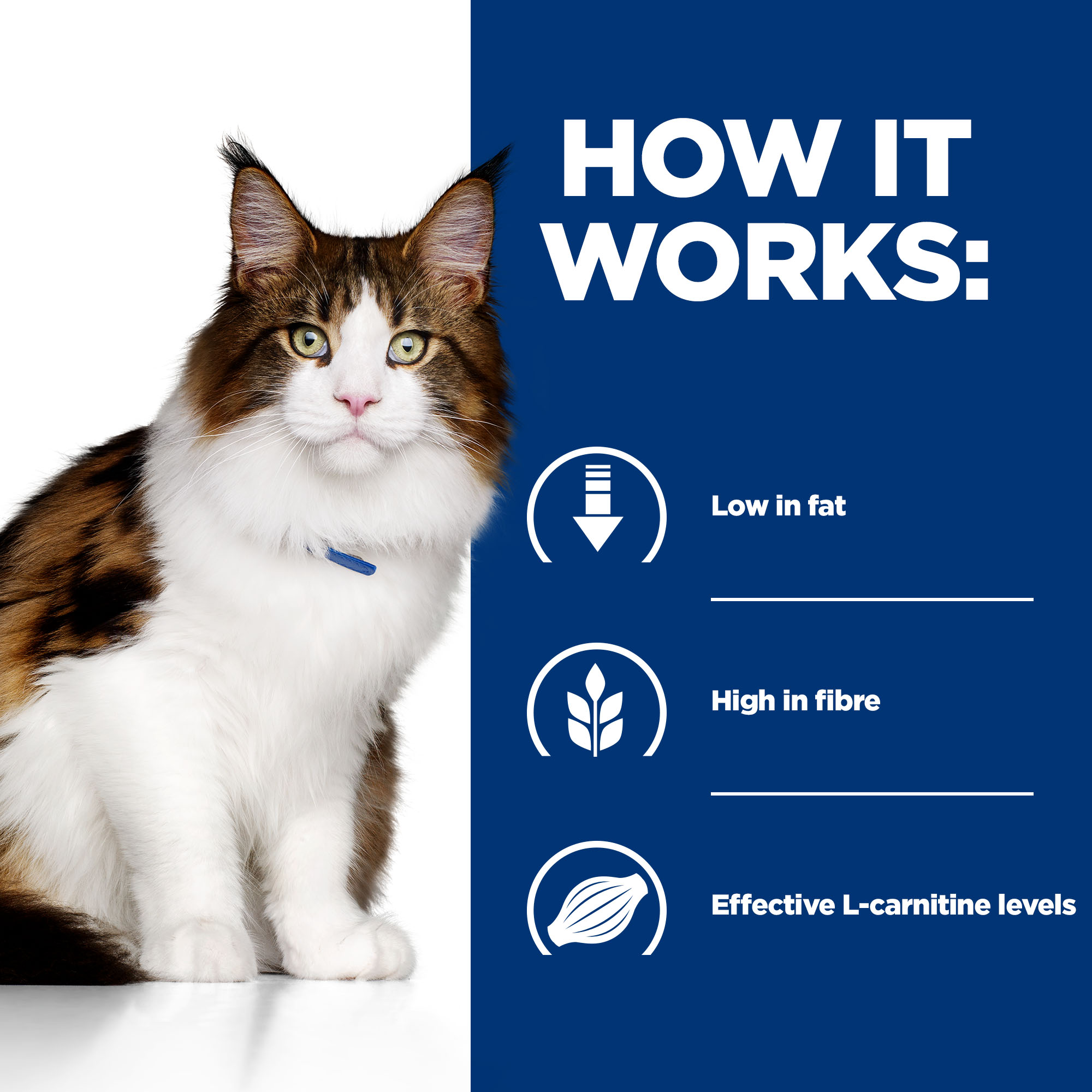 Hill s w d Feline Prescription Diet Shop Today Vetsend