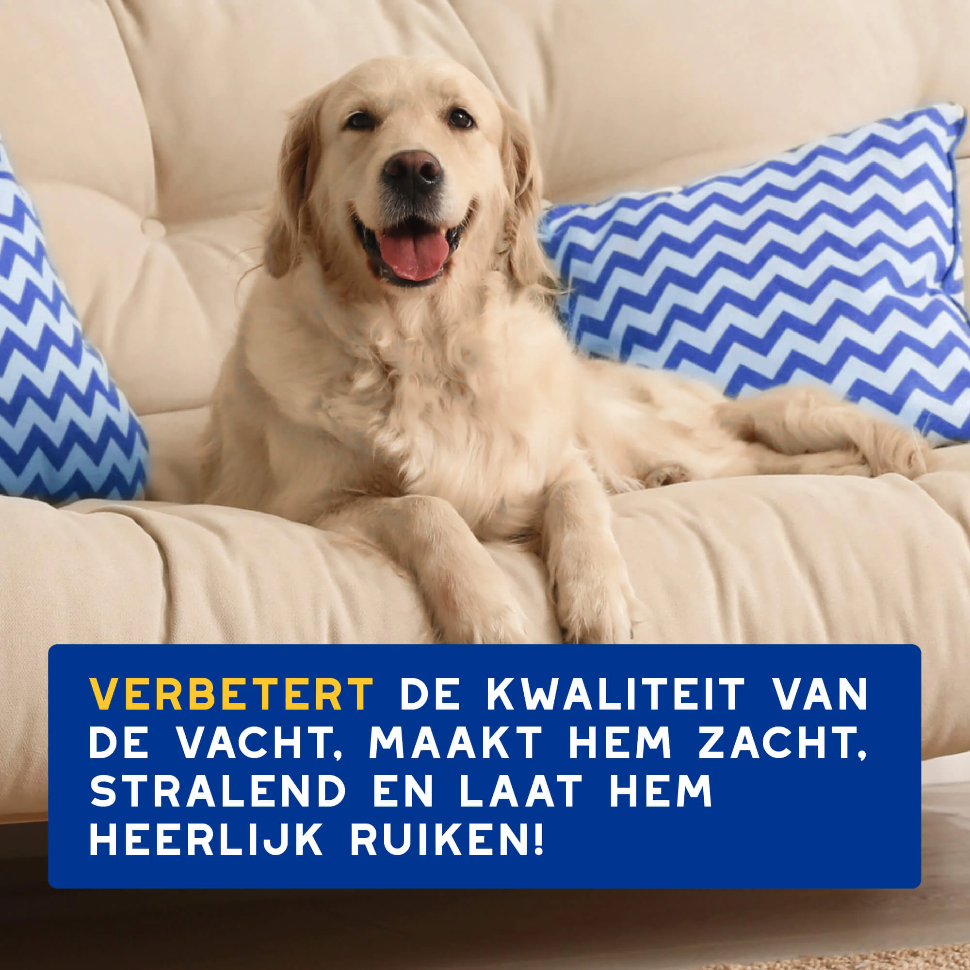 Douxo Spa Hydraterende Shampoo