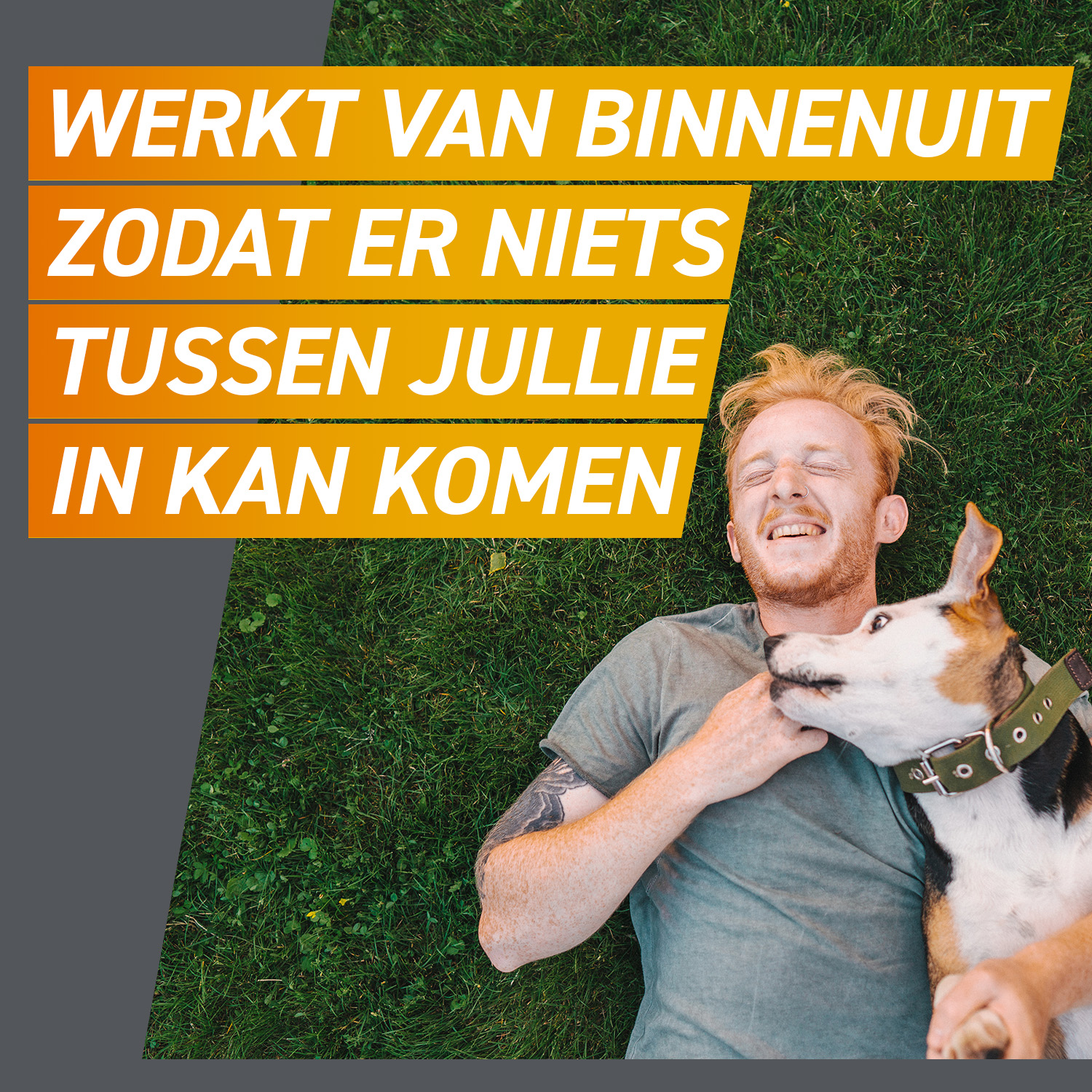 FRONTPRO Kauwtabletten Hond