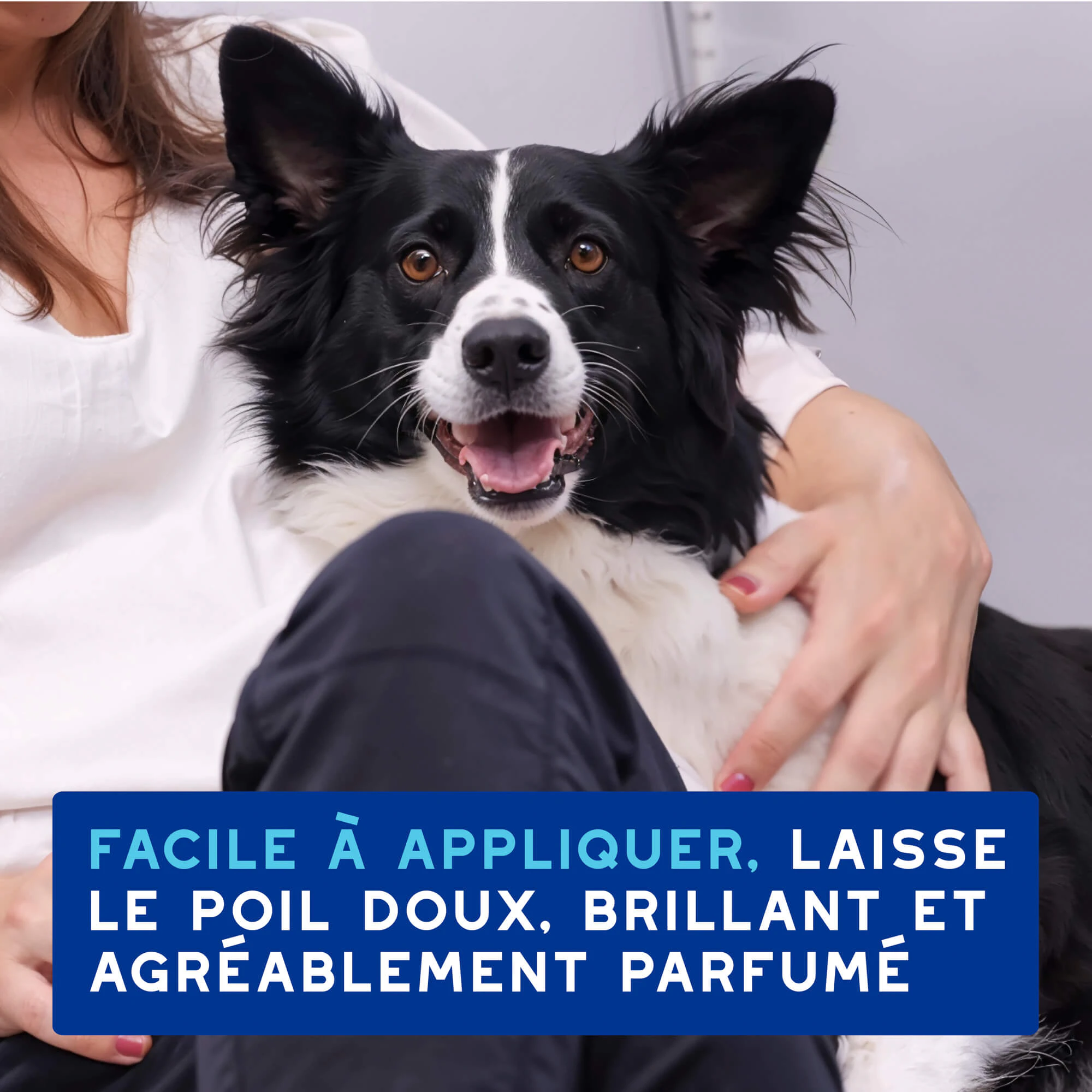 Douxo Spa Mousse pour Chien