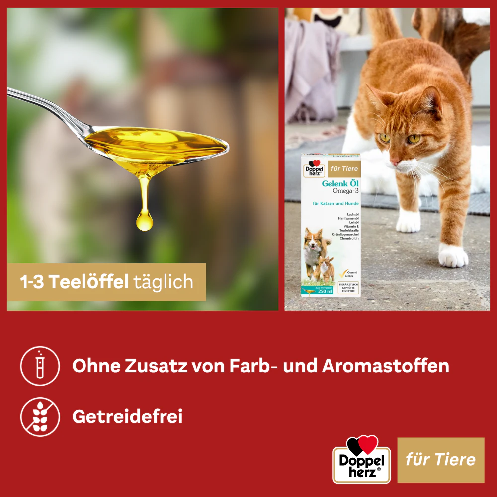 Doppelherz Gelenk Öl Omega-3 für Katzen und Hunde