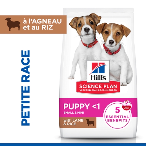 Hill's Science Plan Small & Mini - Chiot - Agneau & Riz