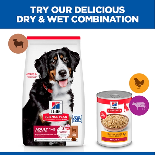Hill's Science Plan Large Breed - Adult - Lamb & Rice