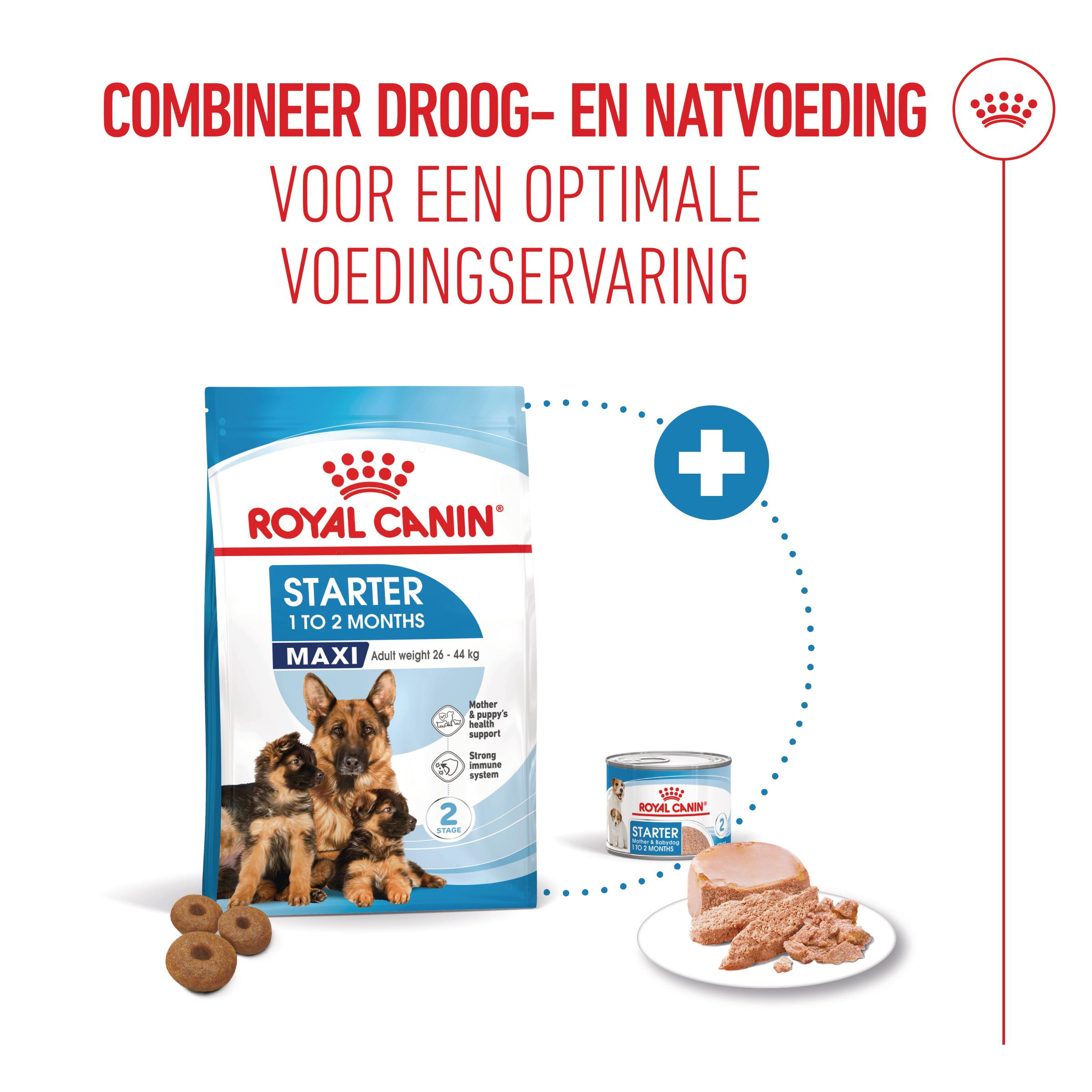 Royal Canin Maxi Starter Mother & Babydog - Hondenvoer