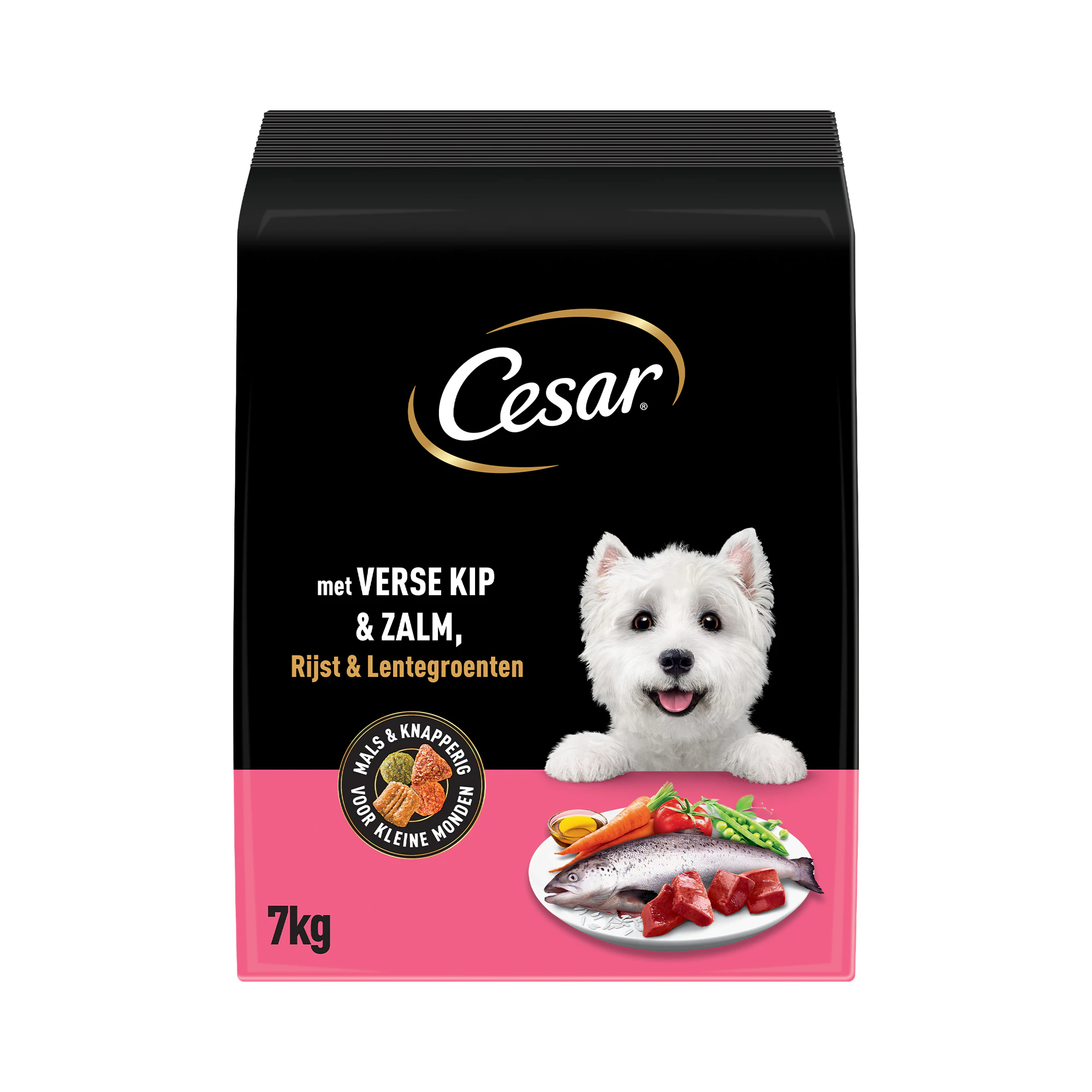 Cesar Adult Dry Karma dla psa